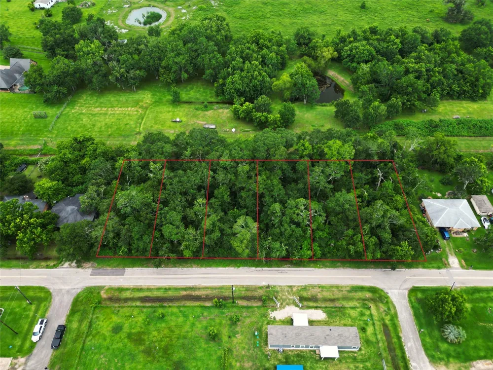 Oak Forest Street Brazoria, TX 77422