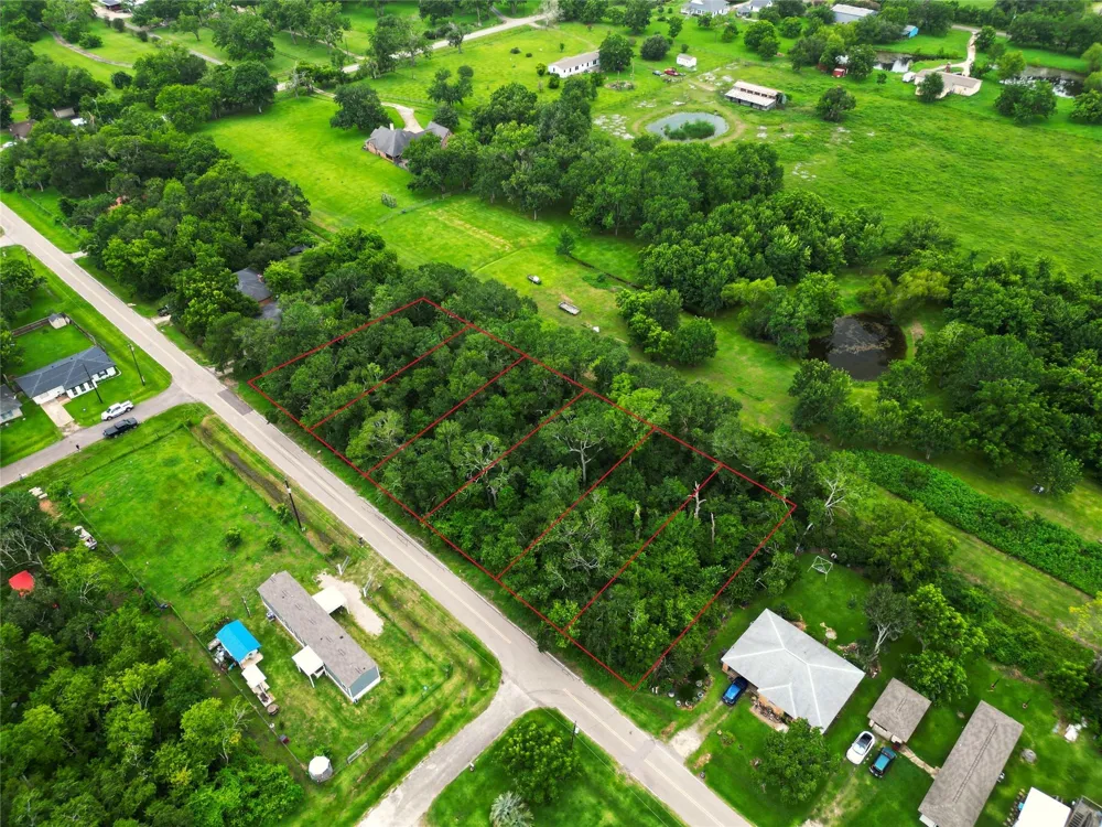 Oak Forest Street Brazoria, TX 77422
