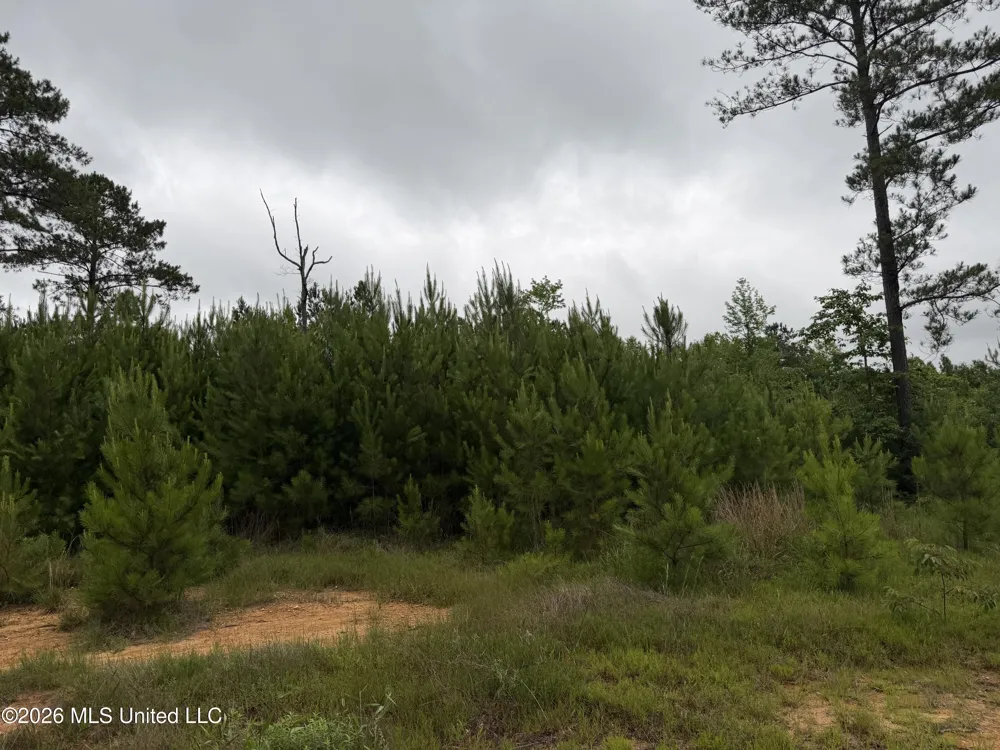 Shell Oil Road Summit, MS 39666