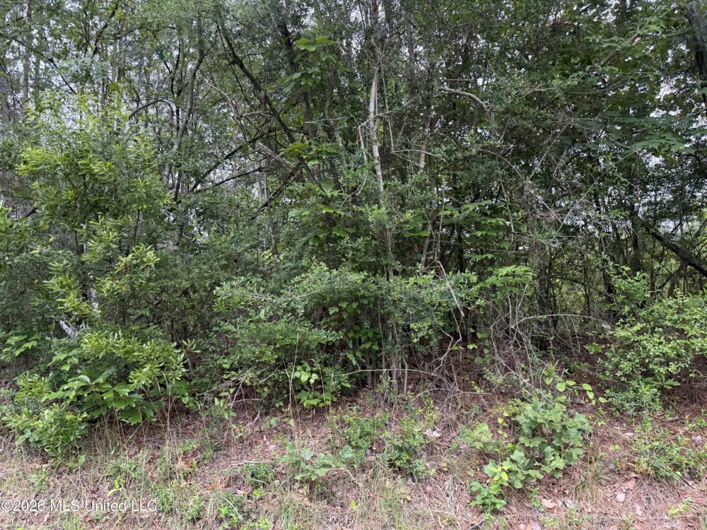 Shell Oil Road Summit, MS 39666