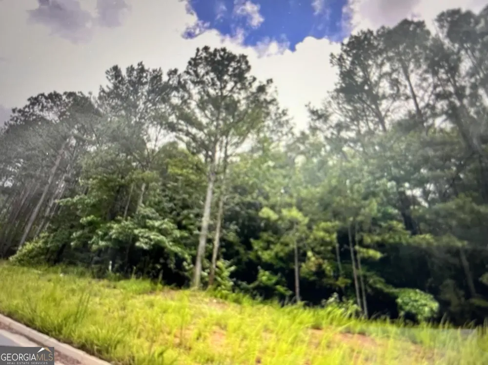 1058 Waverly DR Griffin, GA 30224