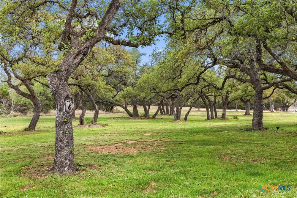 7503 E US Hwy 290 Johnson City, TX 78635