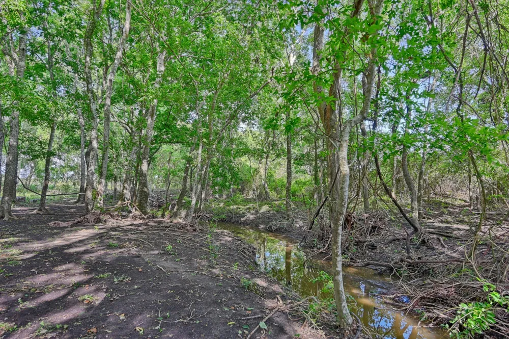 60 Mcnelly Lane Burton, TX 77835