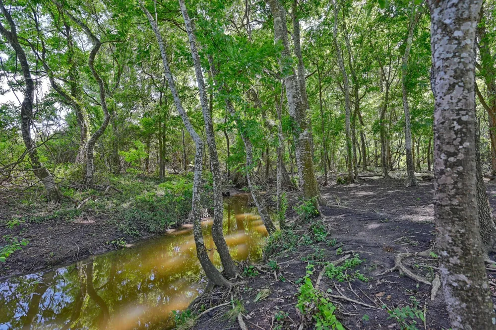 60 Mcnelly Lane Burton, TX 77835