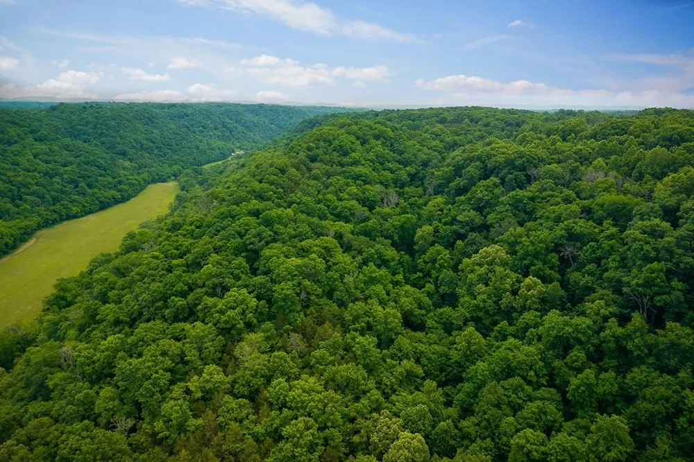 0 Spring Creek Rd Cookeville, TN 38501