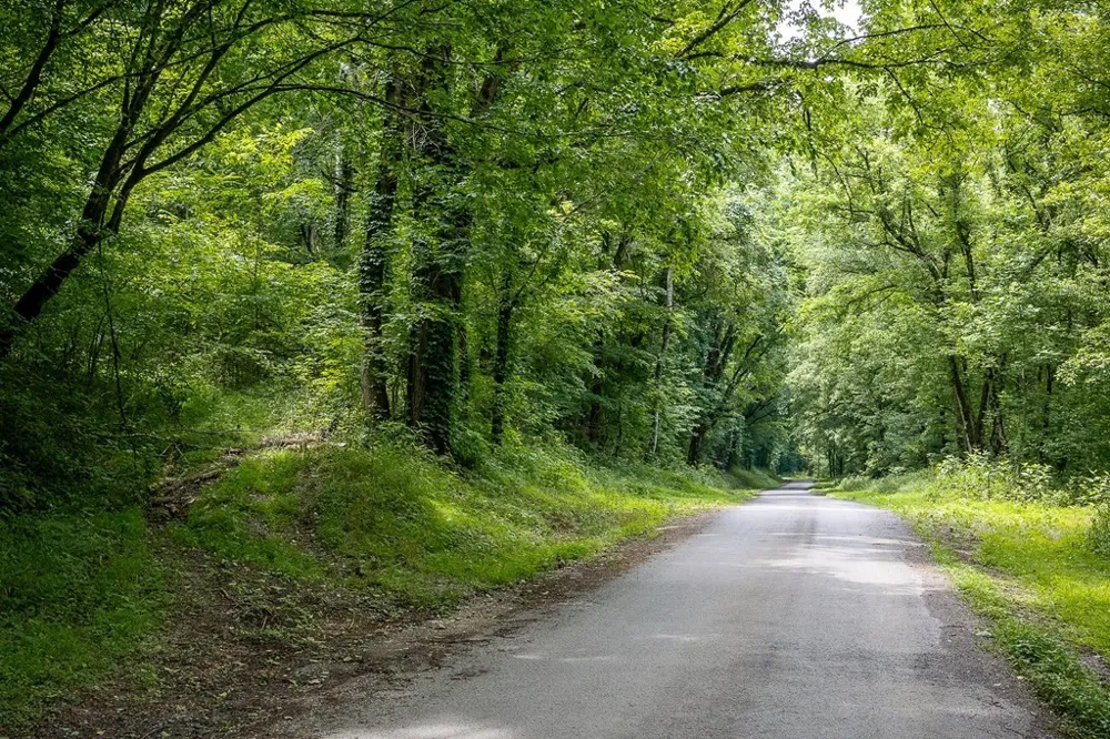 0 Spring Creek Rd Cookeville, TN 38501