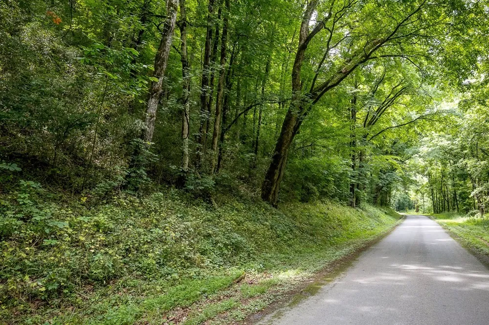 0 Spring Creek Rd Cookeville, TN 38501