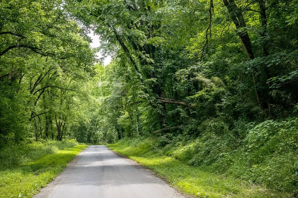 0 Spring Creek Rd Cookeville, TN 38501