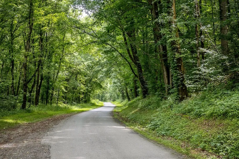 0 Spring Creek Rd Cookeville, TN 38501