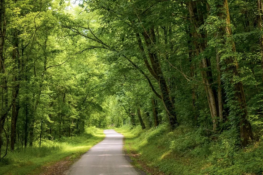0 Spring Creek Rd Cookeville, TN 38501
