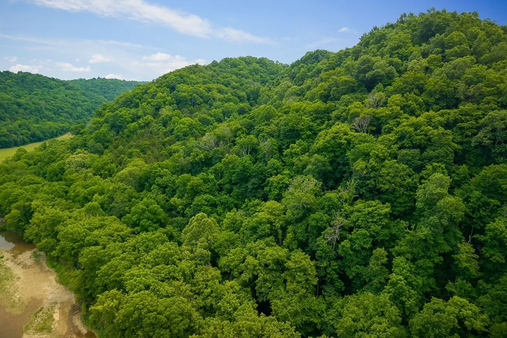 0 Spring Creek Rd Cookeville, TN 38501