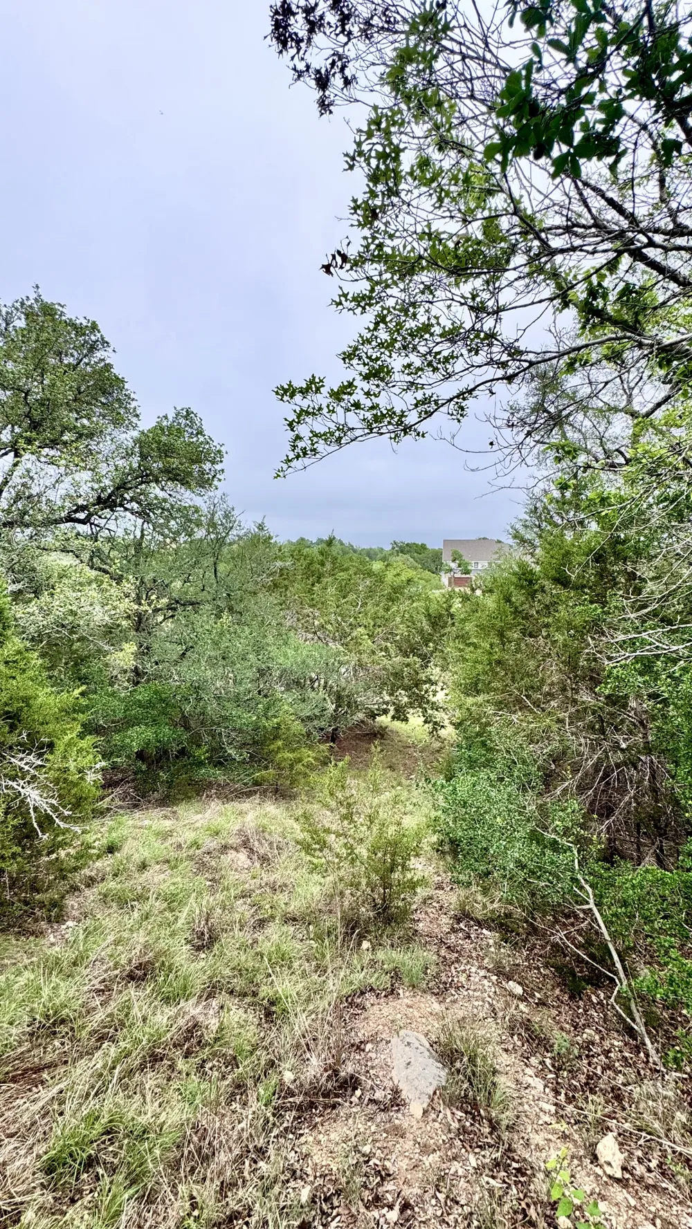 673 Yorks Crossing Driftwood, TX 78619