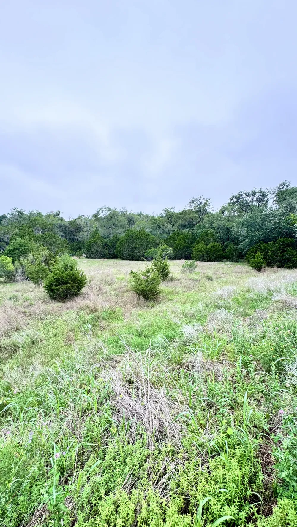 673 Yorks Crossing Driftwood, TX 78619