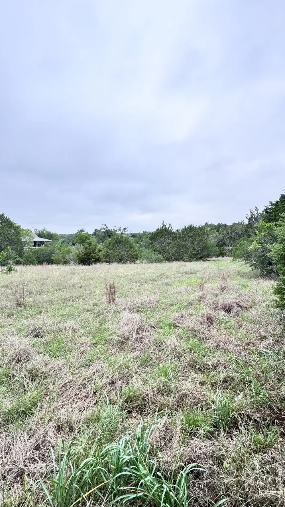 673 Yorks Crossing Driftwood, TX 78619