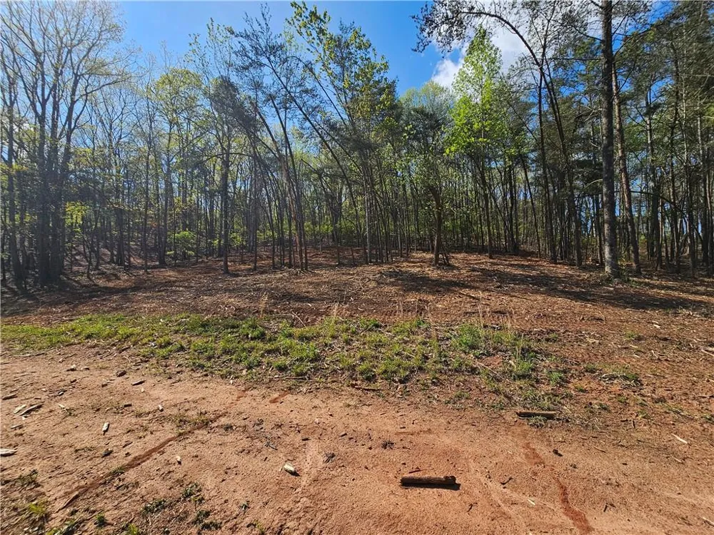 000 Old Federal Road Dawsonville, GA 30534