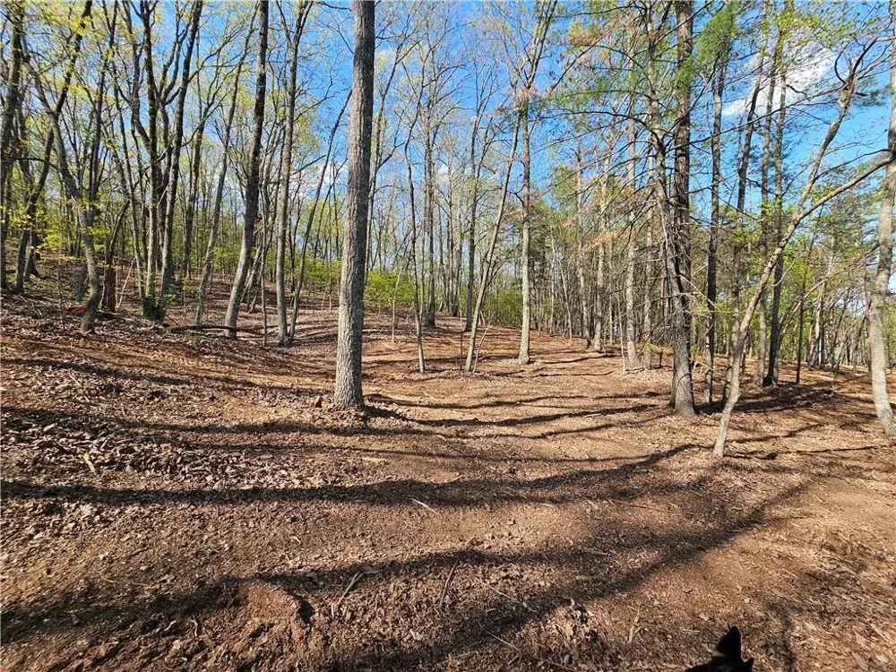 000 Old Federal Road Dawsonville, GA 30534
