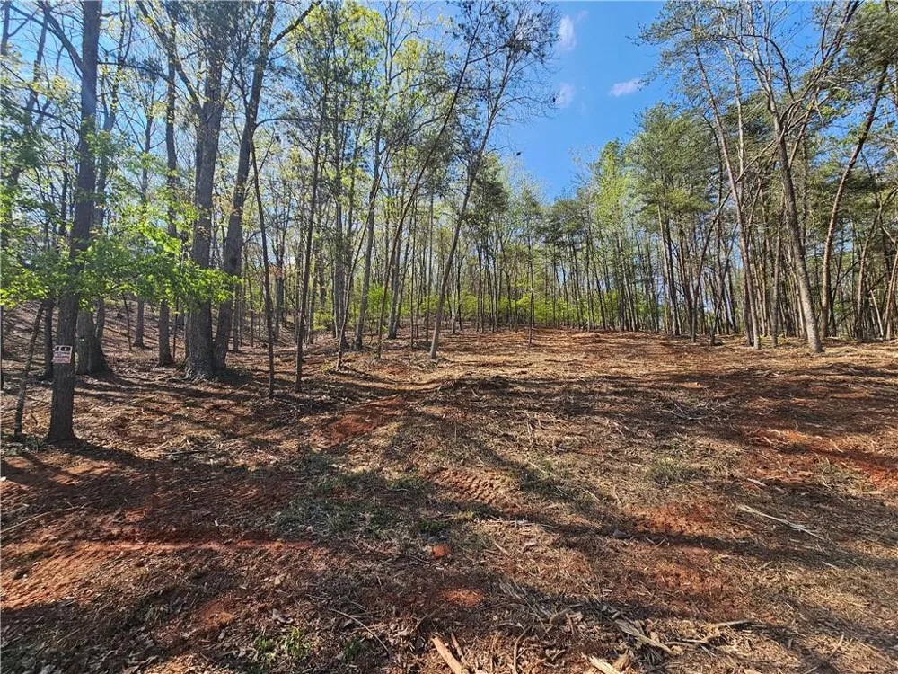000 Old Federal Road Dawsonville, GA 30534
