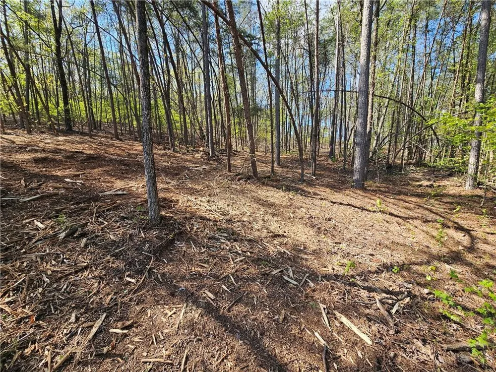 000 Old Federal Road Dawsonville, GA 30534