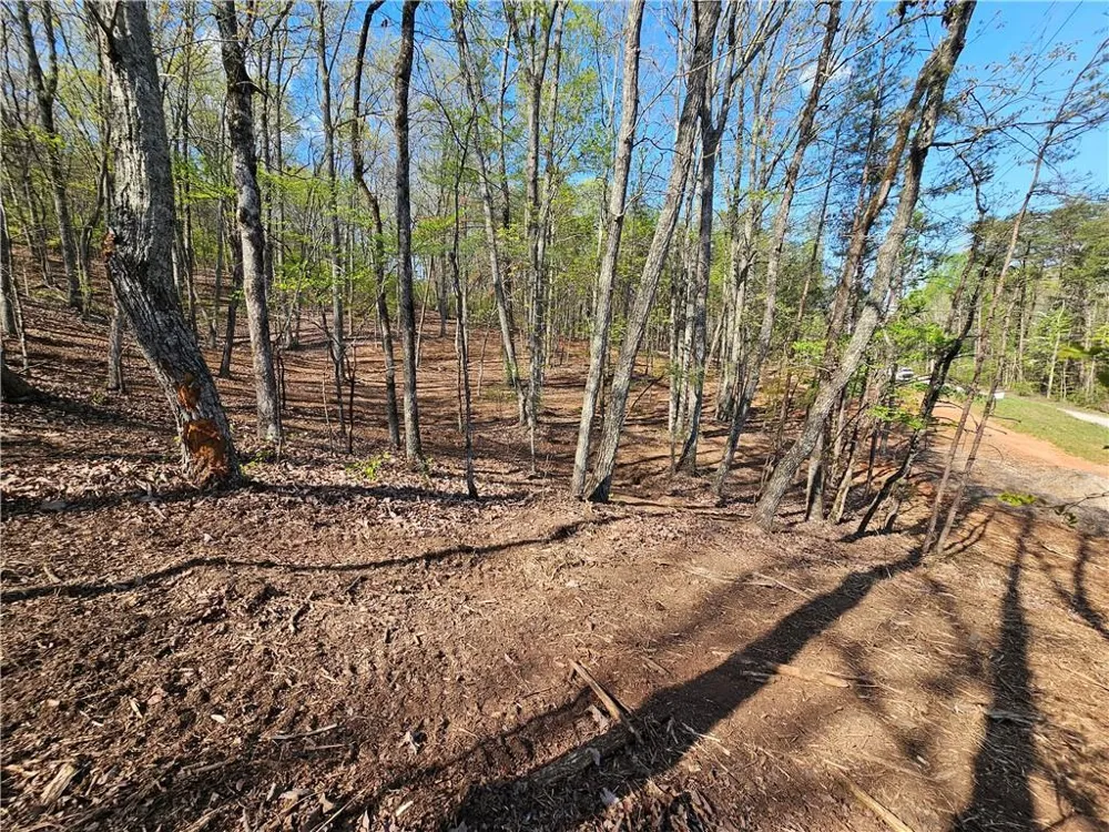 000 Old Federal Road Dawsonville, GA 30534