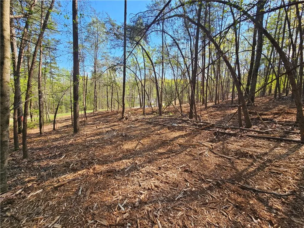 000 Old Federal Road Dawsonville, GA 30534