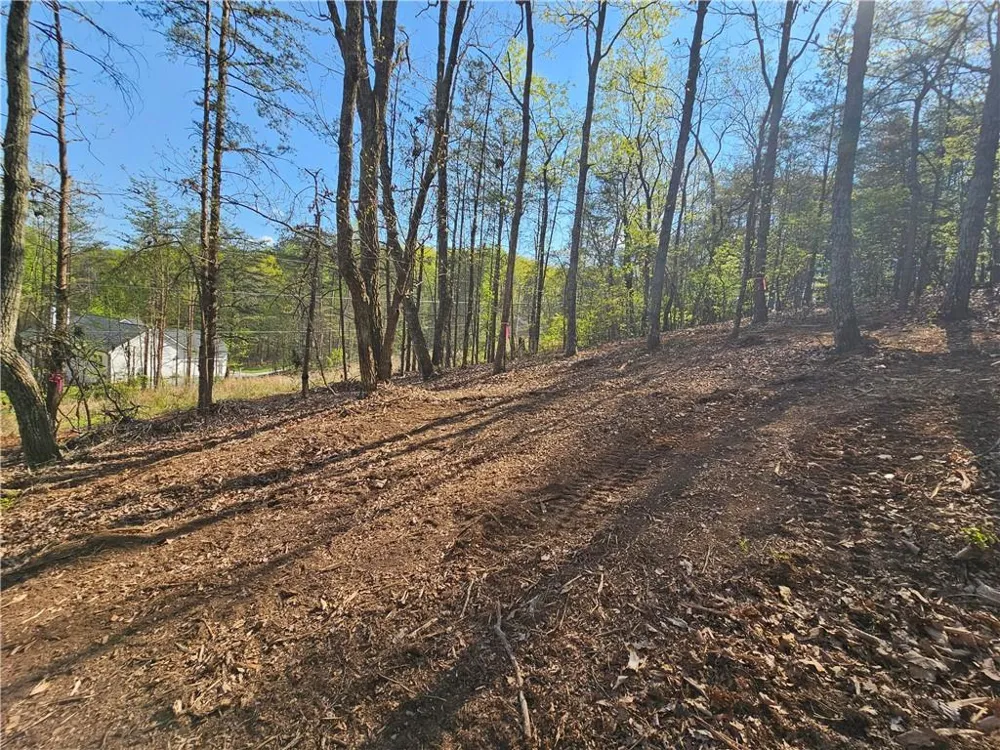 000 Old Federal Road Dawsonville, GA 30534