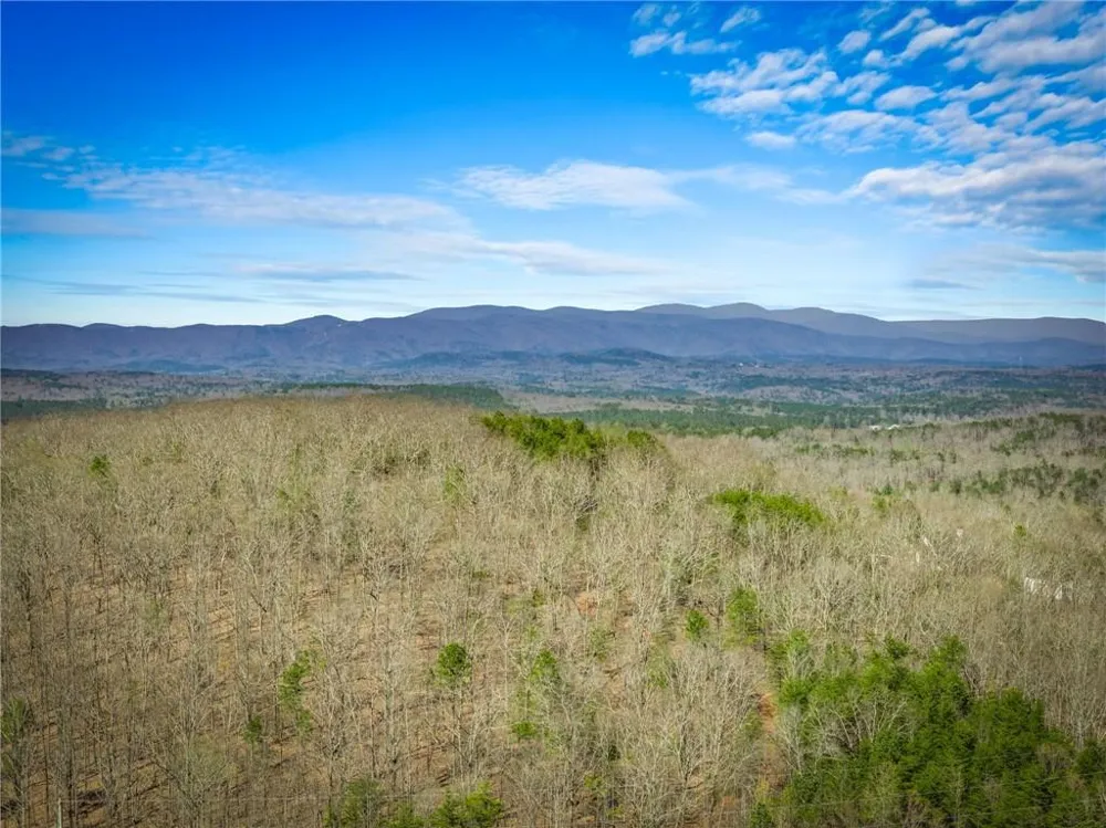 000 Old Federal Road Dawsonville, GA 30534