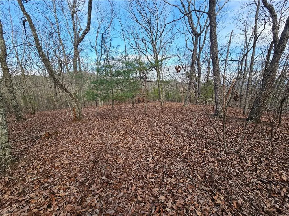 000 Old Federal Road Dawsonville, GA 30534