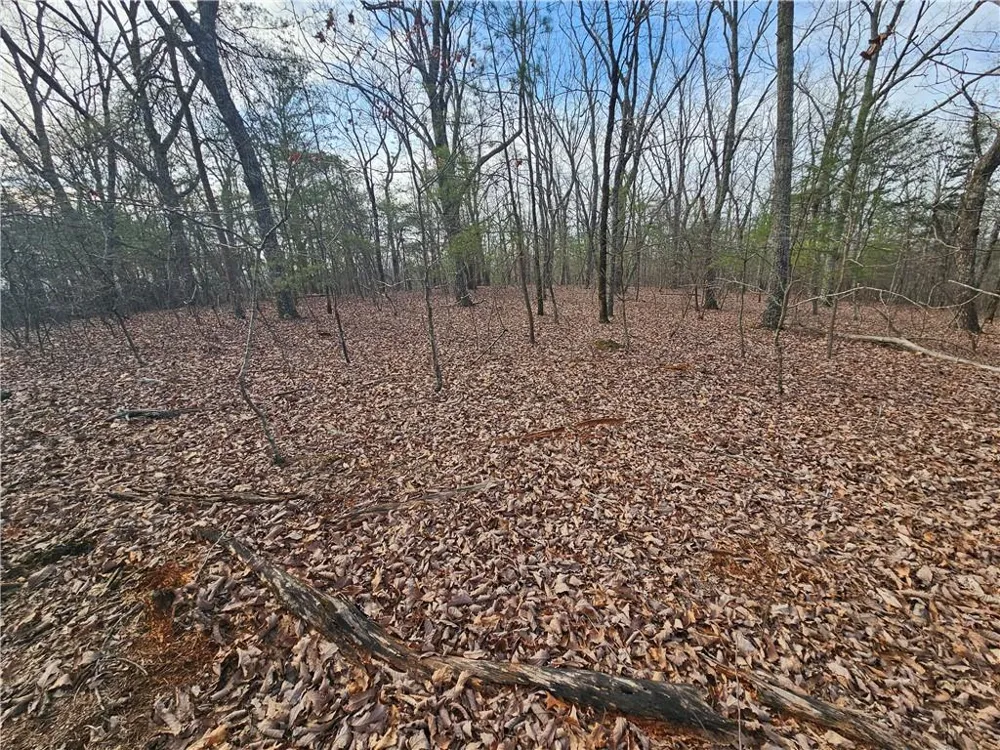 000 Old Federal Road Dawsonville, GA 30534