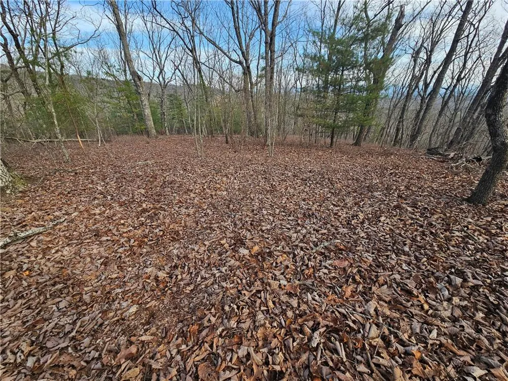 000 Old Federal Road Dawsonville, GA 30534