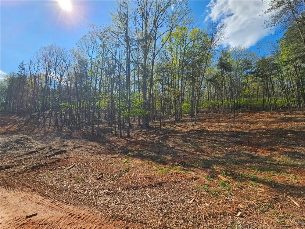 000 Old Federal Road Dawsonville, GA 30534