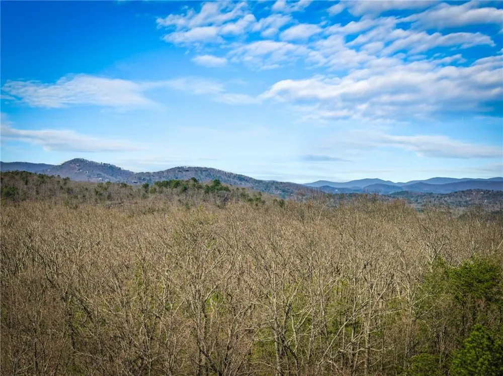 000 Old Federal Road Dawsonville, GA 30534