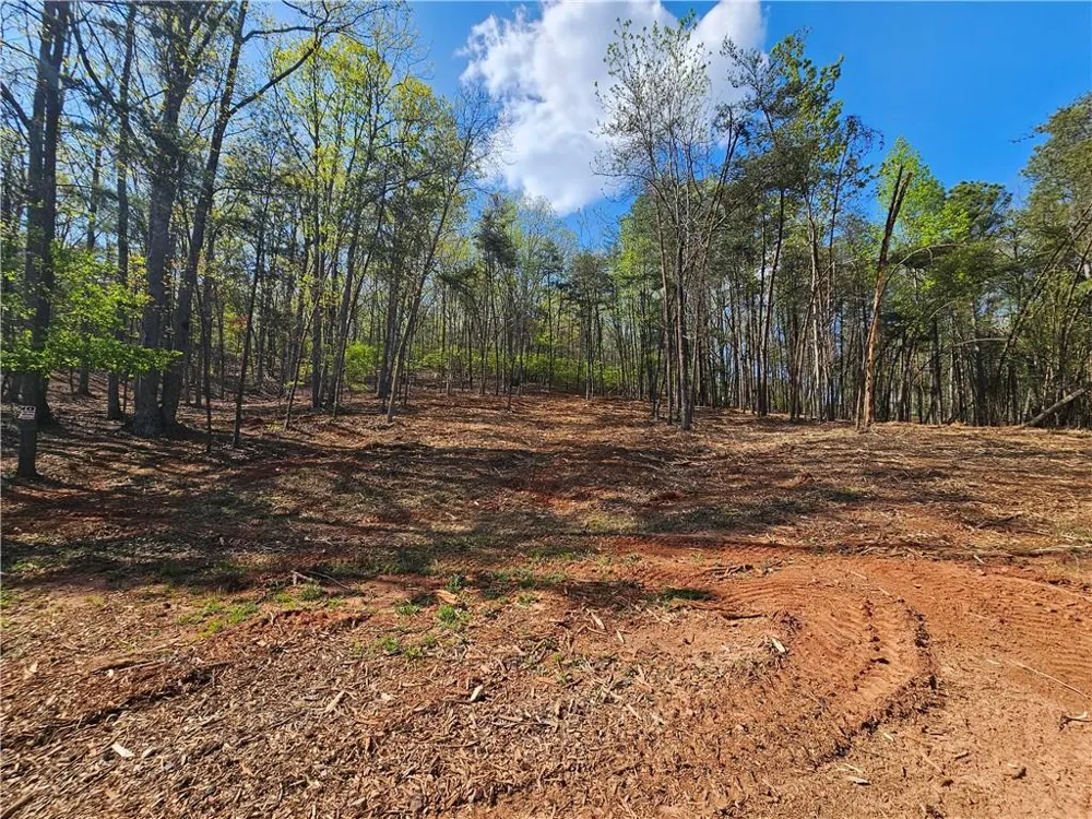 000 Old Federal Road Dawsonville, GA 30534