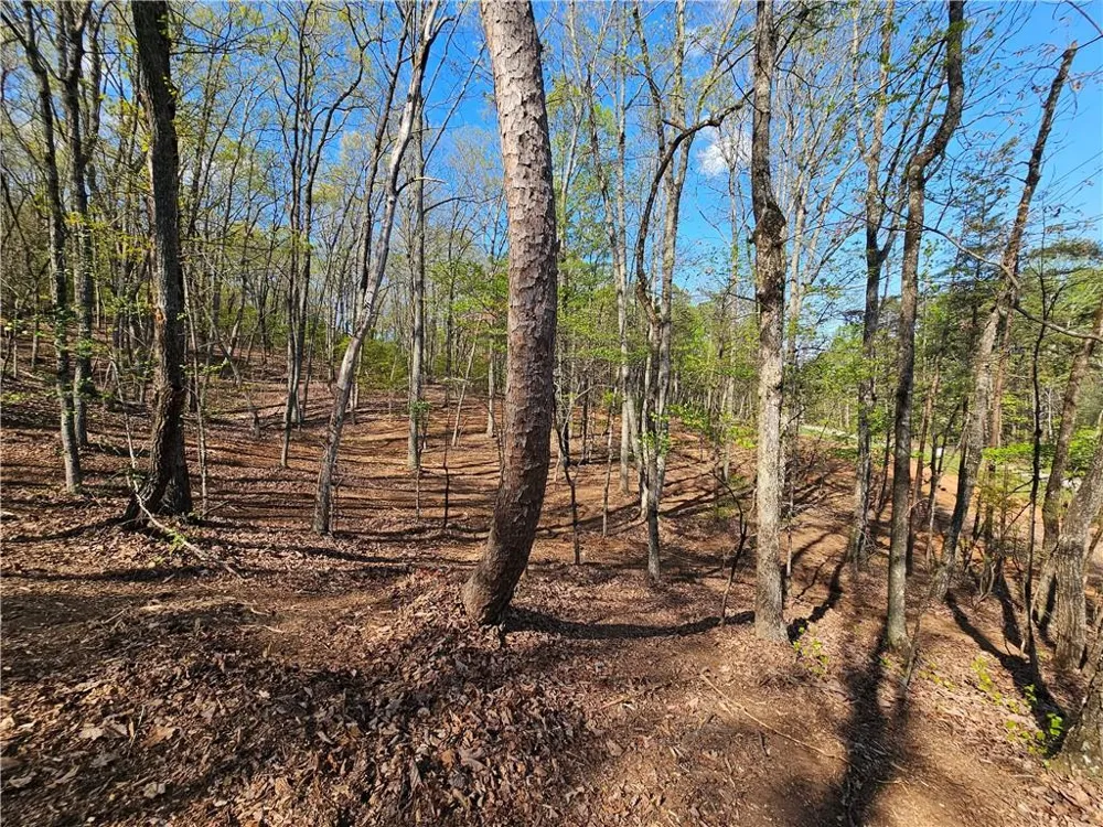 000 Old Federal Road Dawsonville, GA 30534