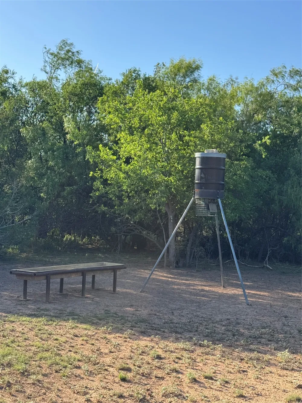 16007 I-20 Loraine, TX 79532