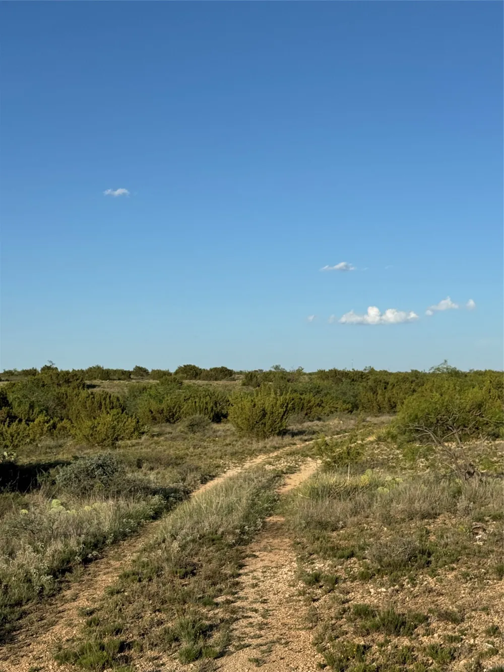16007 I-20 Loraine, TX 79532