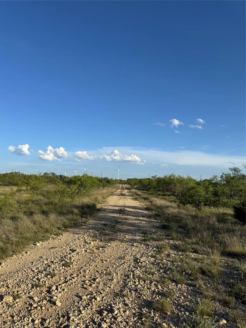 16007 I-20 Loraine, TX 79532