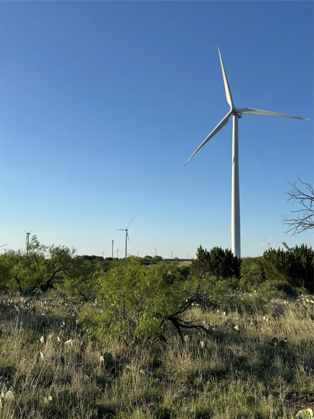 16007 I-20 Loraine, TX 79532