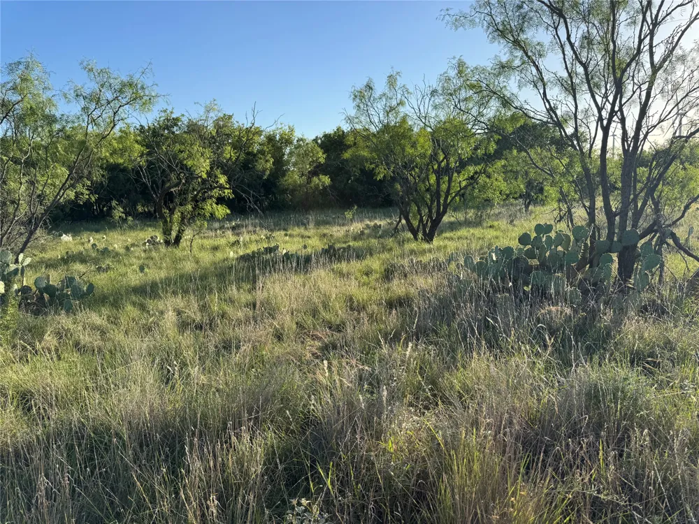 16007 I-20 Loraine, TX 79532