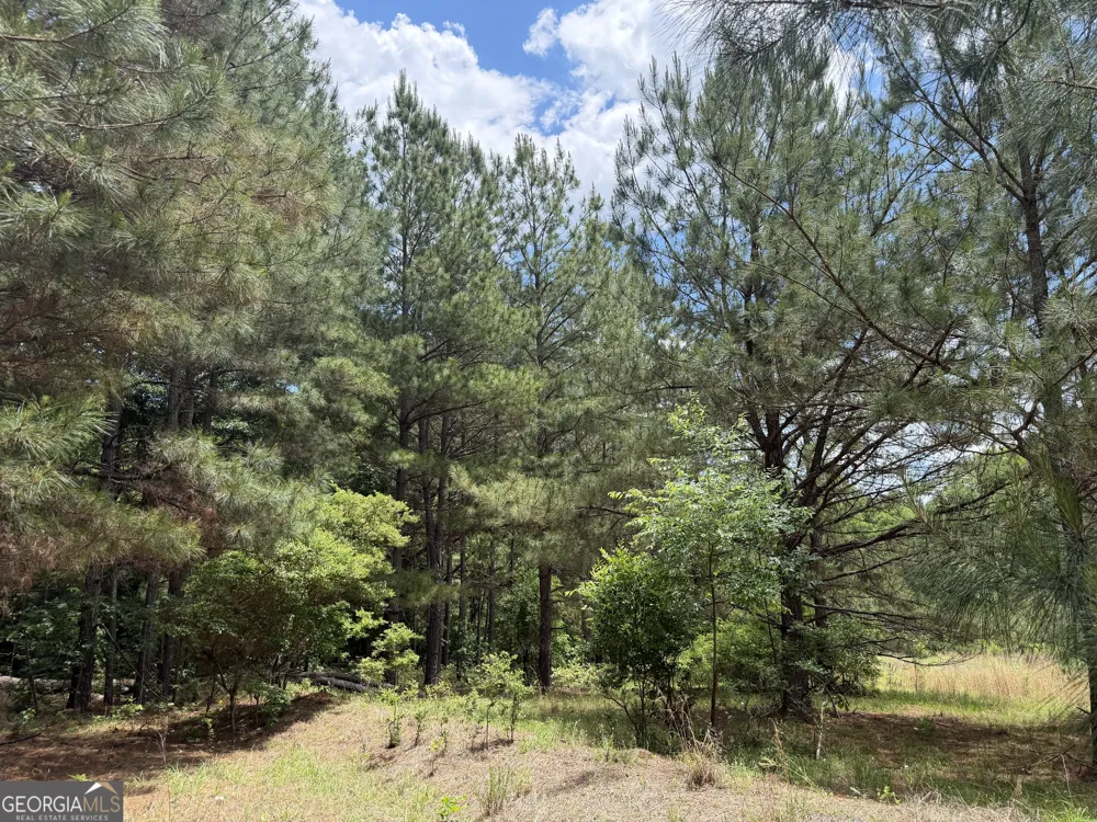 008 Little Sandy Creek Road