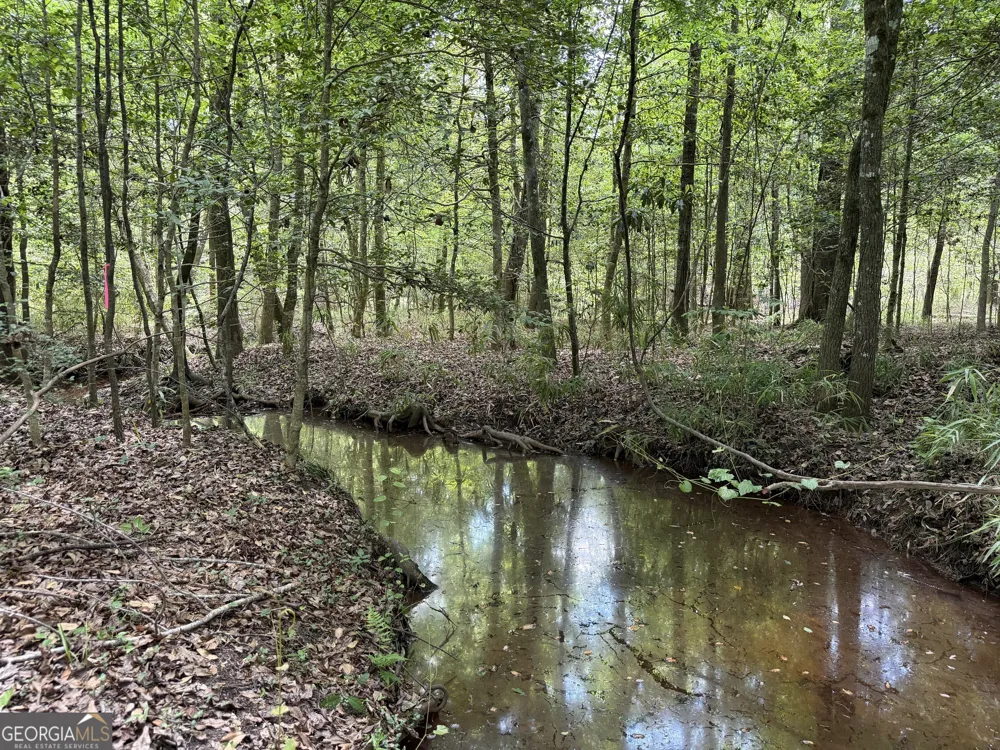010 Long Branch RD Toomsboro, GA 31090