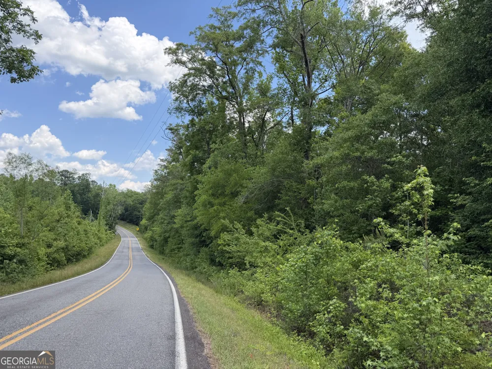 010 Long Branch RD Toomsboro, GA 31090