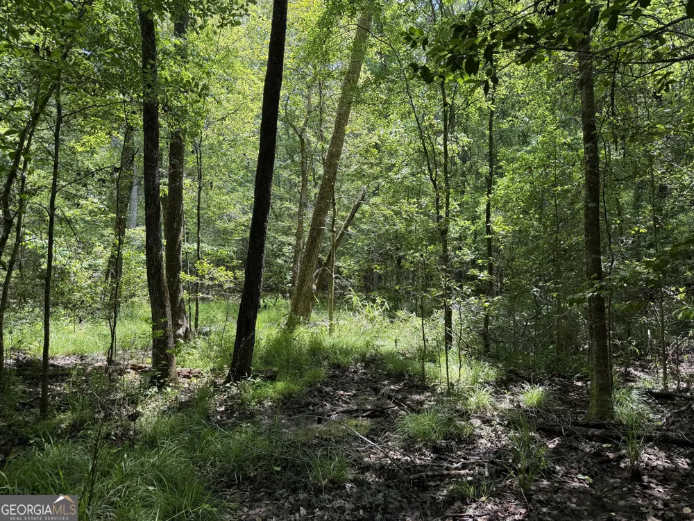 010 Long Branch RD Toomsboro, GA 31090