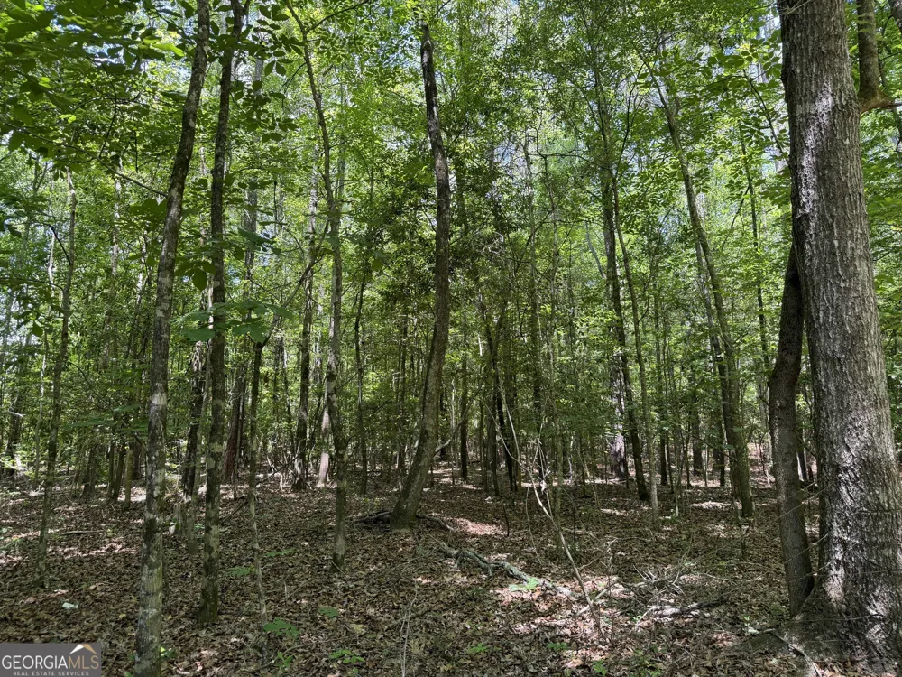 010 Long Branch RD Toomsboro, GA 31090