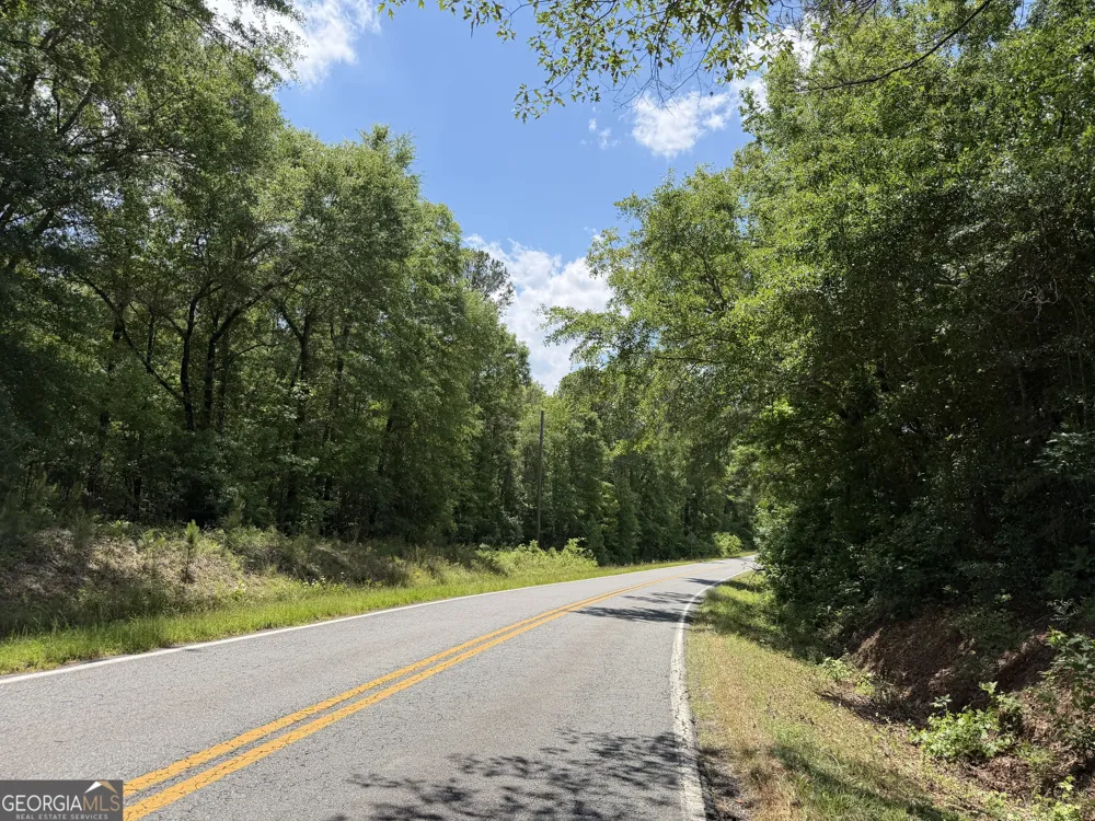 010 Long Branch RD Toomsboro, GA 31090