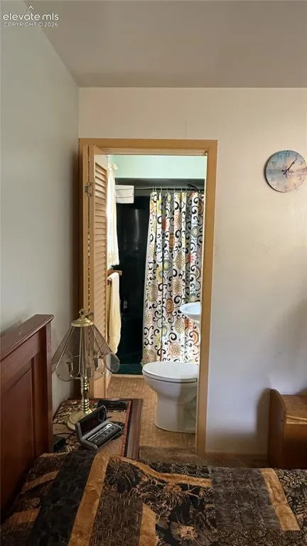 741 Elfin Glen Drive Divide, CO 80814