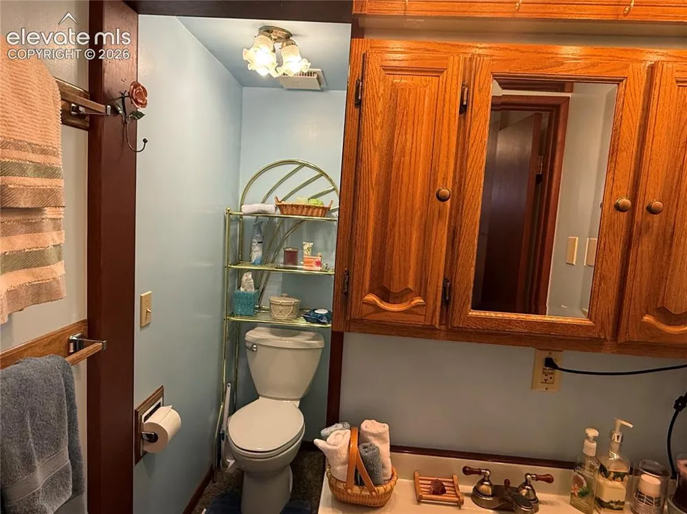 741 Elfin Glen Drive Divide, CO 80814