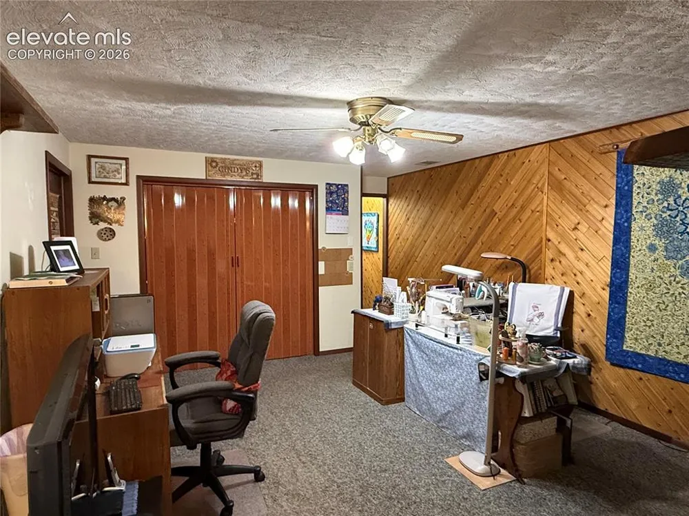 741 Elfin Glen Drive Divide, CO 80814