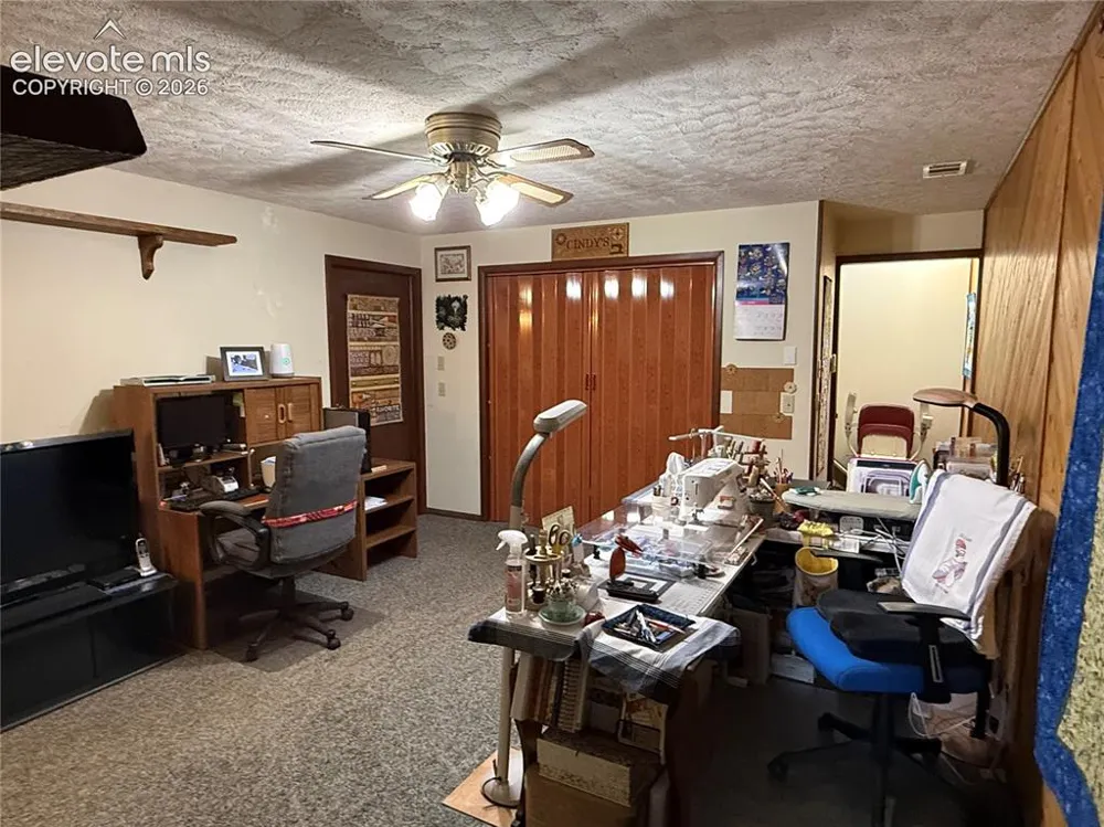 741 Elfin Glen Drive Divide, CO 80814