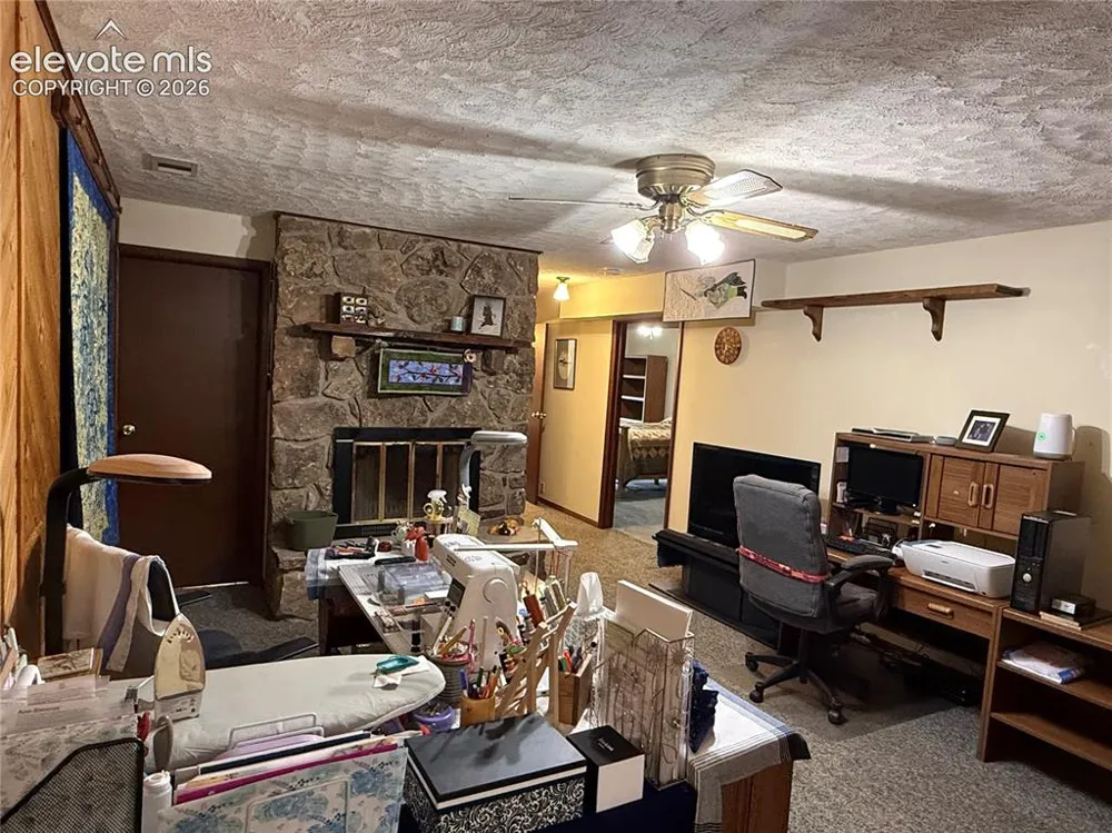 741 Elfin Glen Drive Divide, CO 80814