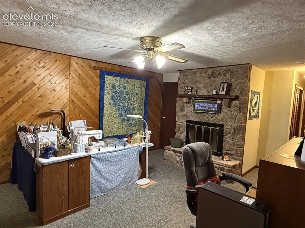 741 Elfin Glen Drive Divide, CO 80814